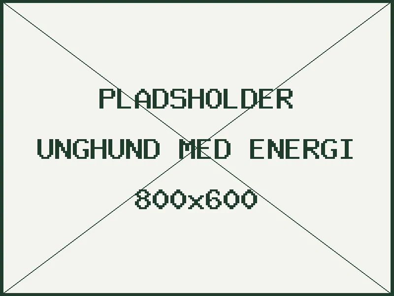 Pladsholder - unghund med energi