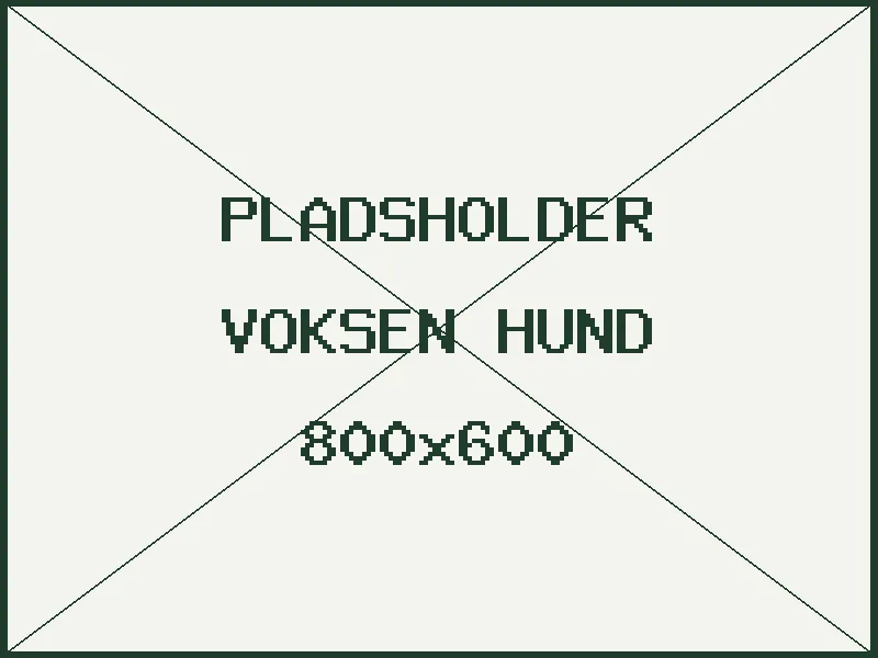 Pladsholder - voksen hund