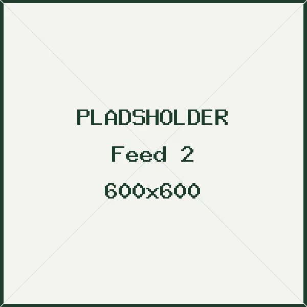 Pladsholder til opslag 2