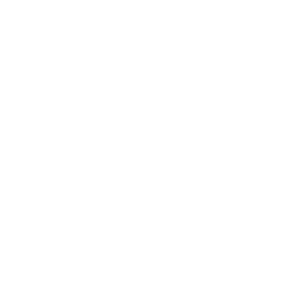 Spaniel Akademiet